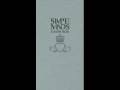 Simple Minds - Life in oils