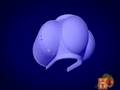 videos de Dome of Constantinople