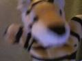 2nd Video Ever