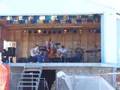 django reinhart @ blueberry  fest 2007