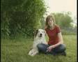 Dogdance Hundesportverein Radebeul