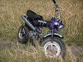 Honda Dax St 50 (Dansk) (Danish) VERY FAST!