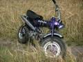 Honda Dax St 50 (Dansk) (Danish) VERY FAST!