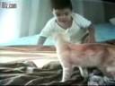baby fighting with cat
