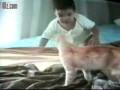 baby fighting with cat