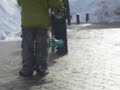 Rare! Chihuahua wearing boots sighting
