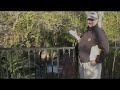 Explore McCoy\
