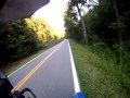 Motociclista derrubado por ave em estrada.