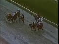 Alysheba - 1988 Breeders Cup Classic (Partial)