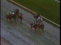 Alysheba - 1988 Breeders Cup Classic (Partial)