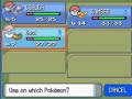 Bidoof Is Evolving!