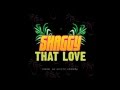 Shaggy - That Love Lyrics (New Love Songs 2016)