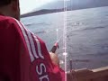 ?zmir - Karaburun Bal?k Av?