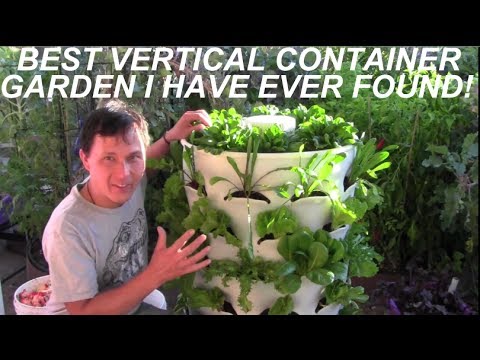 how to fertilize square foot garden