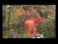 Barnet in Bloom