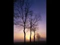 Angel of the Morning