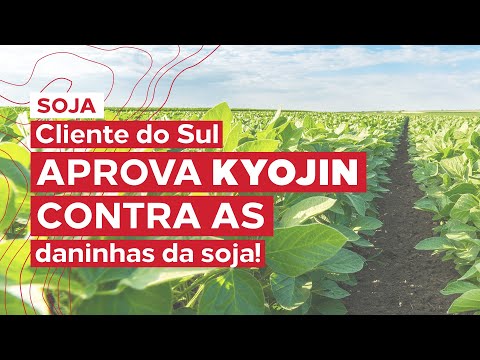 Cliente do Sul comprova a eficácia de Kyojin contra as daninhas da soja!