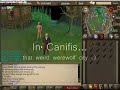 How to catch swamp lizards on RS How to catch swamp lizards on RS