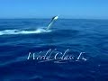 Fishing, Scuba Diving and Ecotours in the East Cape