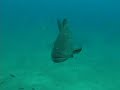 Fishing, Scuba Diving and Ecotours in the East Cape