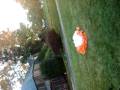 Trickk or treatingg