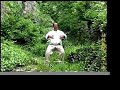 Vitalarts - Zhau Zhuang Chi Kung Clip Large