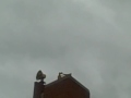 videos de Thunderbolt 1003 Monthly Test on top of Reedsburg FD