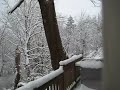 Seattle Snow Seattle Snow