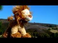 New Boyz You're A Jerk- (Parody)