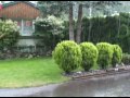 Rainy Day Dream Away
