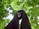 two trunk climb 7-21
