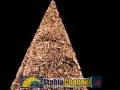 videos de albero.flv