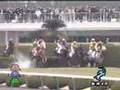 2008年3月1日 阪神4R 障害オープン サウスポール