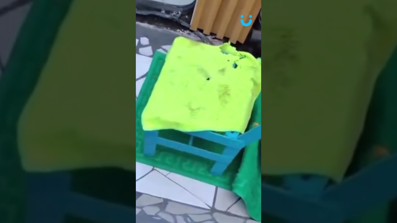 VAI TER QUE PAGAR IPVA E IPTU 😂