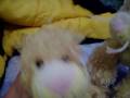 videos de Petunia and Marissa have a sleepover