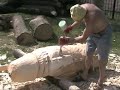 plener_2007_poprawiony