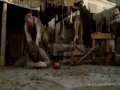 DEADWOOD- Dan Vs. \ DEADWOOD- Dan Vs. \