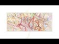 Scribbles - Erick Natzke Scribbles - Erick Natzke