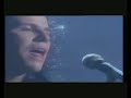 The Cult- True Believers