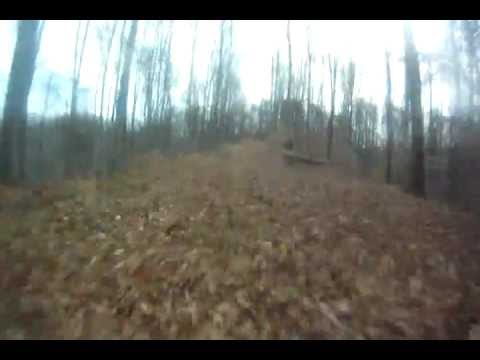 350 warrior 350 warrior