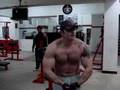 Cems22-www-bodyforum
