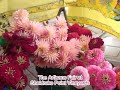 Sheldrake Point Artisans Fair
