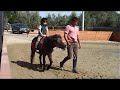 Scuola di Equitazione Scuola di Equitazione
