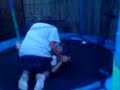 Ryan Banging Jamie