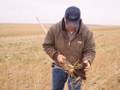 The Next Step: Adding Cover Crop To A No-Till System