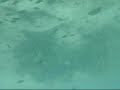 180 degrees
