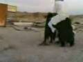 turkisk-001
