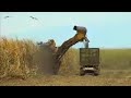 AACC Crop Training