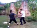 CBTIS 175 PELEAS (BOX)