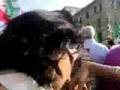 Berlusconi a Sestri Ponente (Genova)